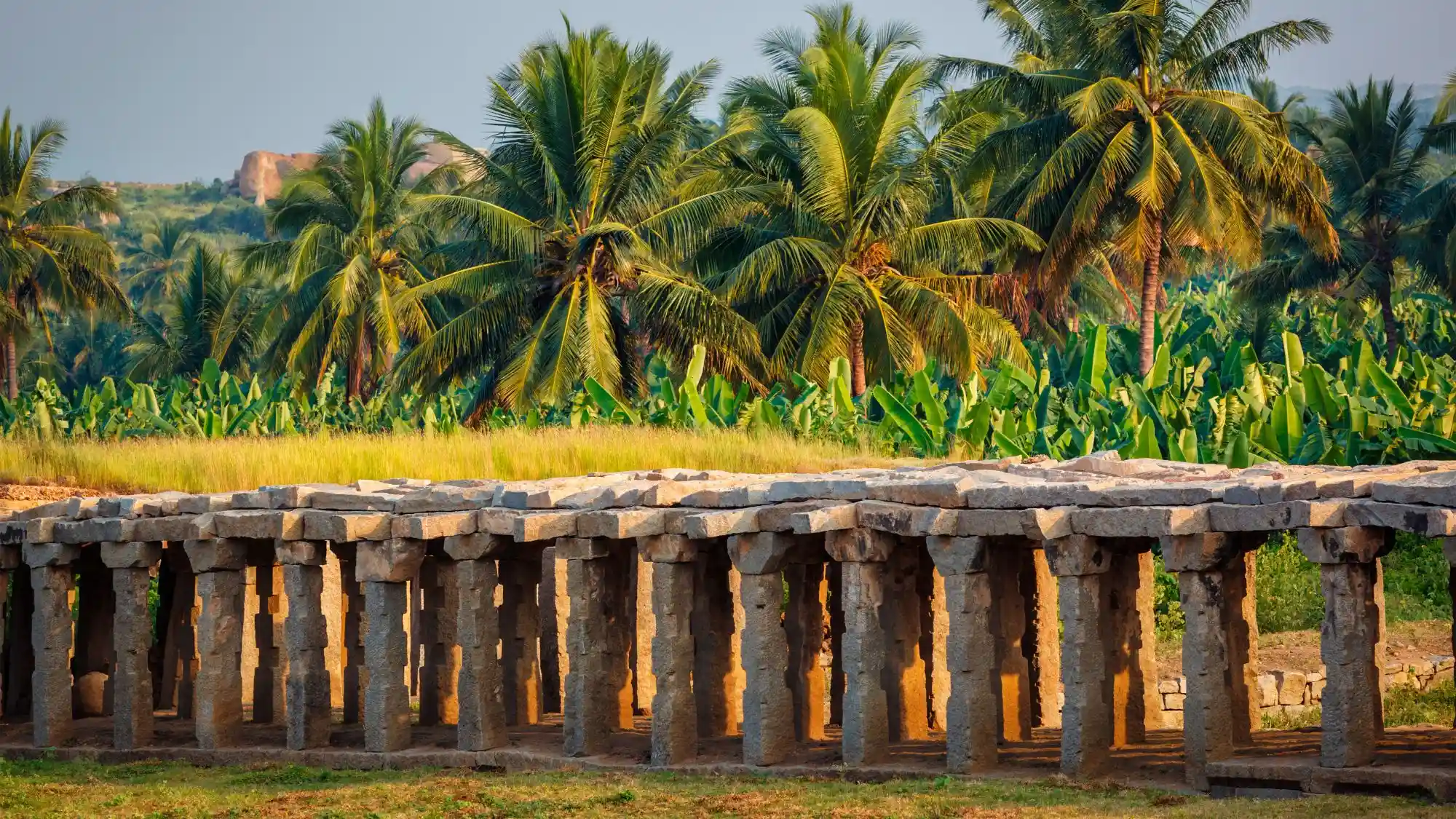 Background 1